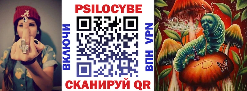 Галлюциногенные грибы Psilocybe  Озёры 